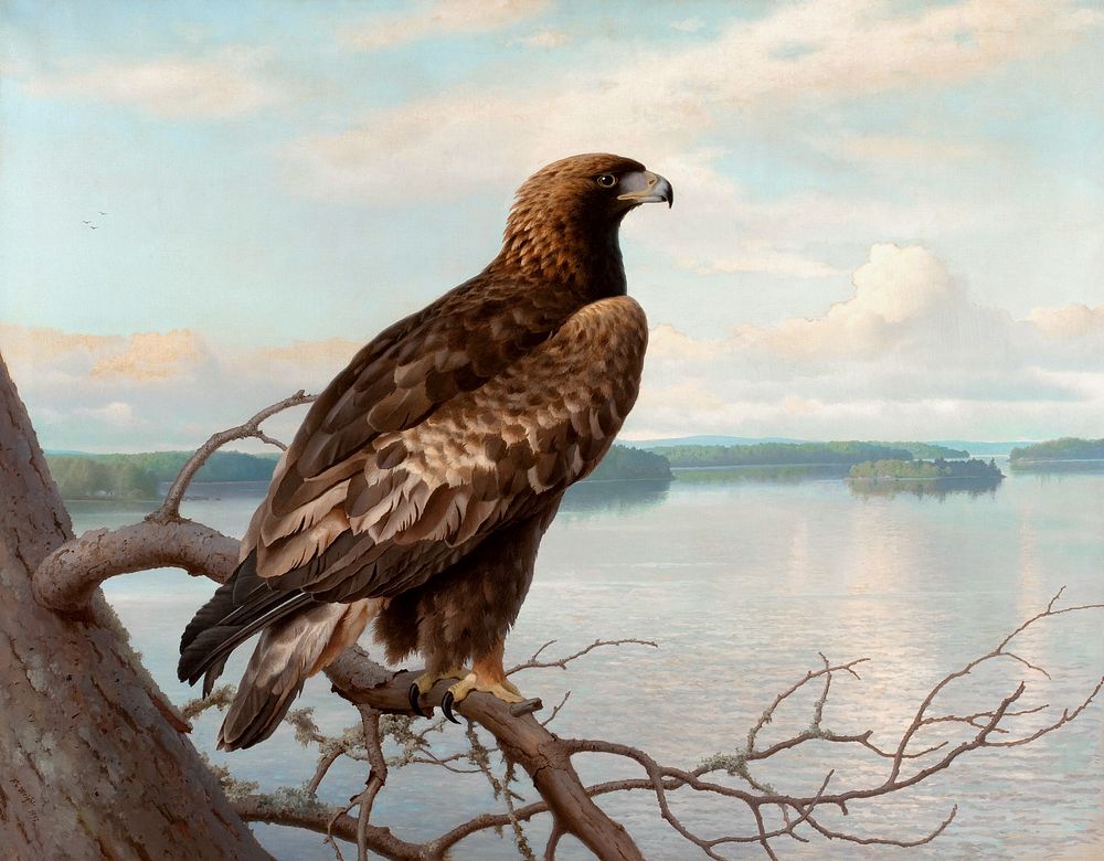 Golden Eagle by a Lake (1897) oil painting art by Ferdinand von Wright. Original public domain image from The Finnish…