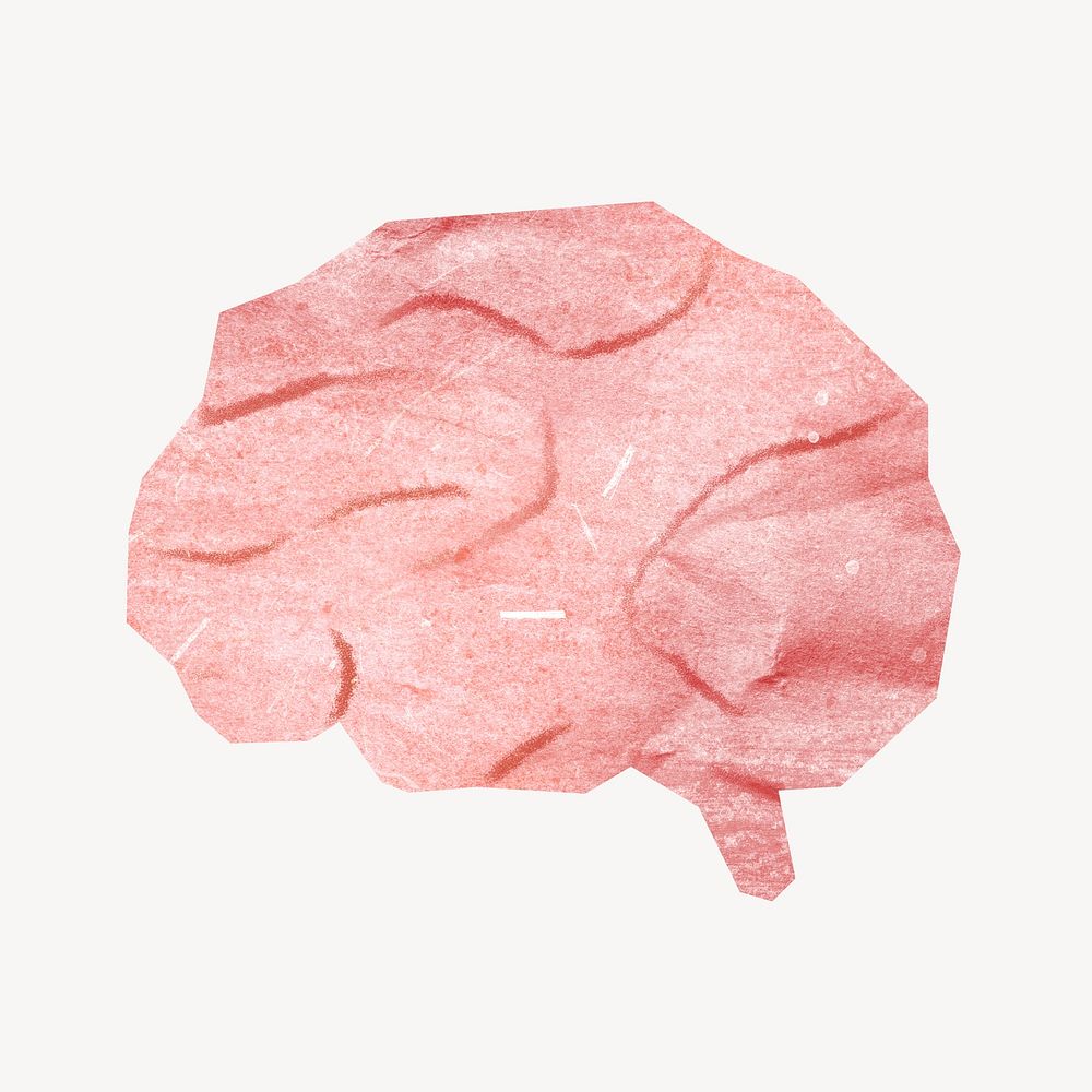 Human brain, paper craft element