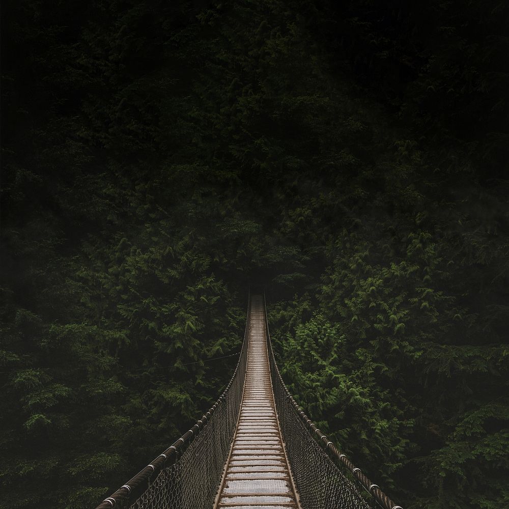 Forest hanging bridge background, nature travel image