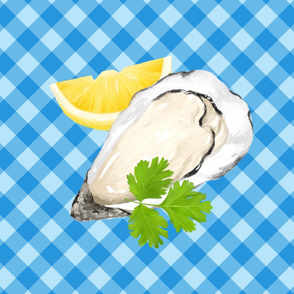 Fresh oyster, seafood illustration