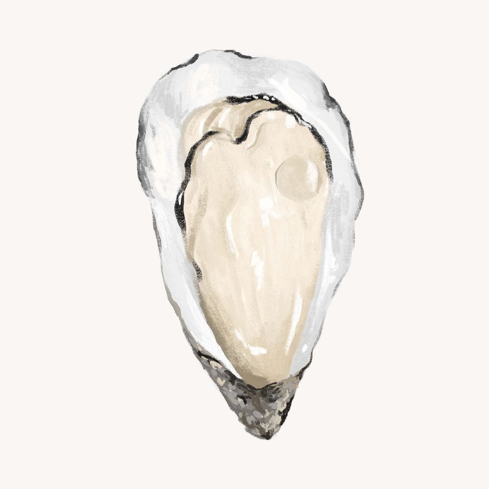 Fresh oyster, seafood illustration