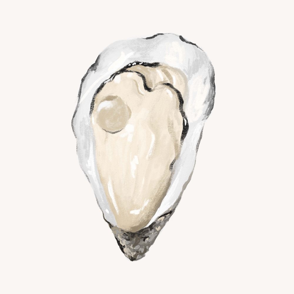 Fresh oyster, seafood illustration