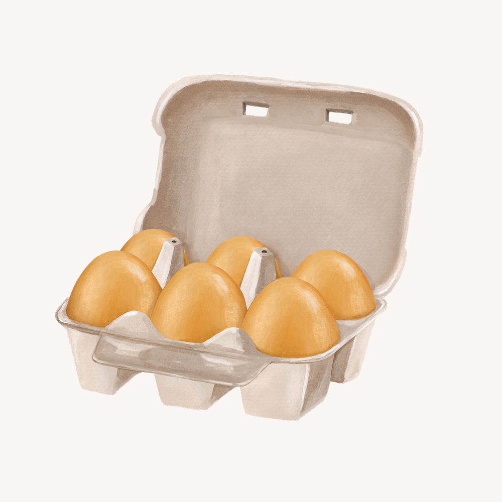 Egg carton, food illustration