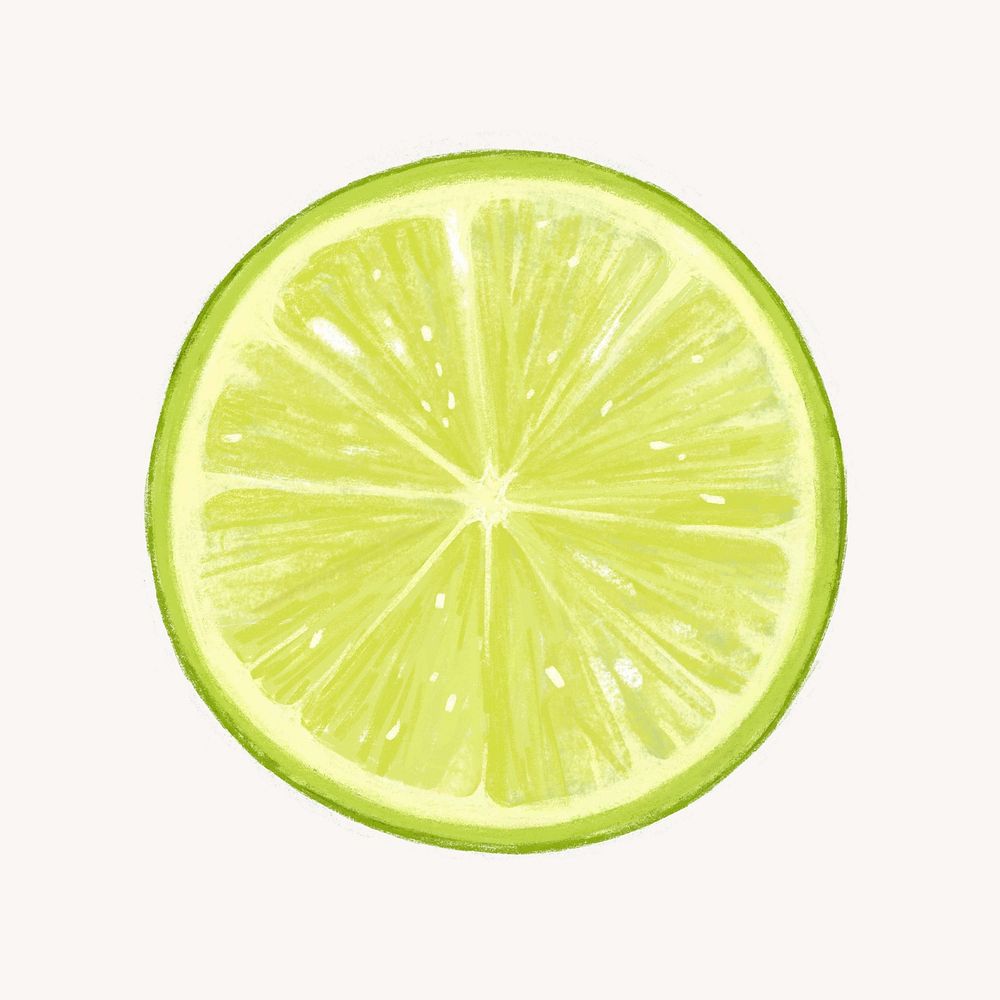 Lime slice, fruit illustration