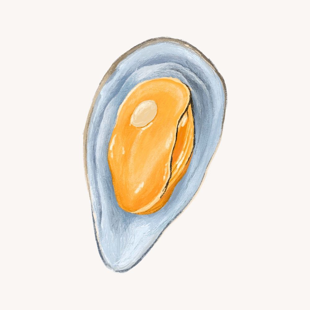 Mussel, shellfish seafood illustration