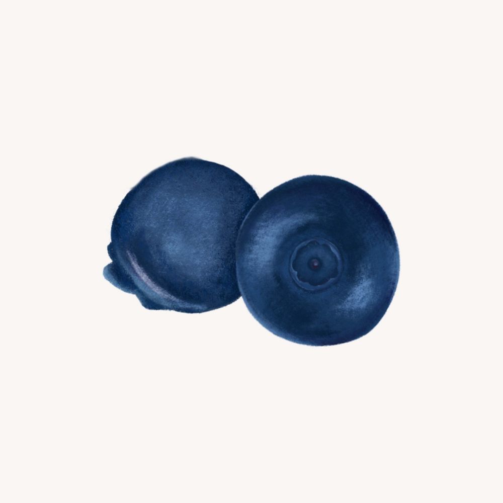 Blueberry fruit, food illustration