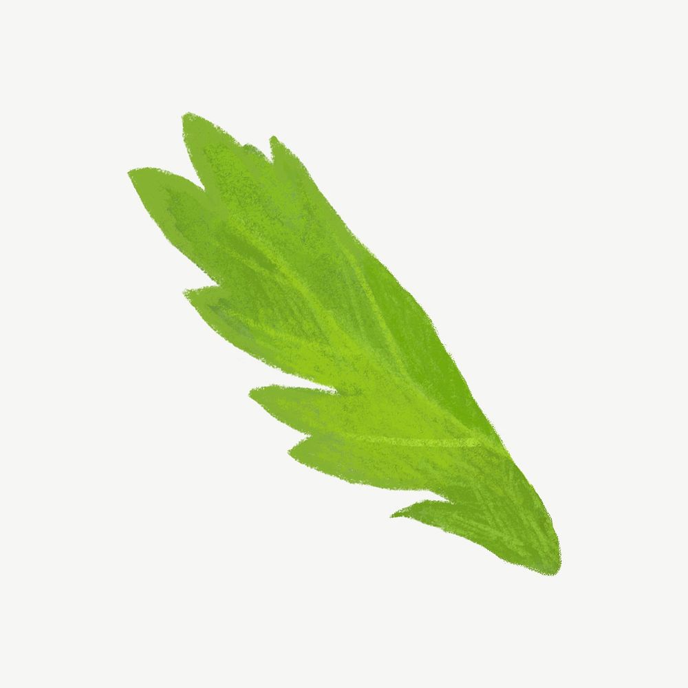 Coriander leaf, vegetable collage element psd 