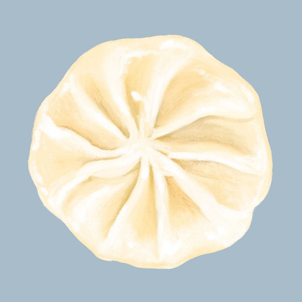 Xiaolongbao, Chinese food illustration