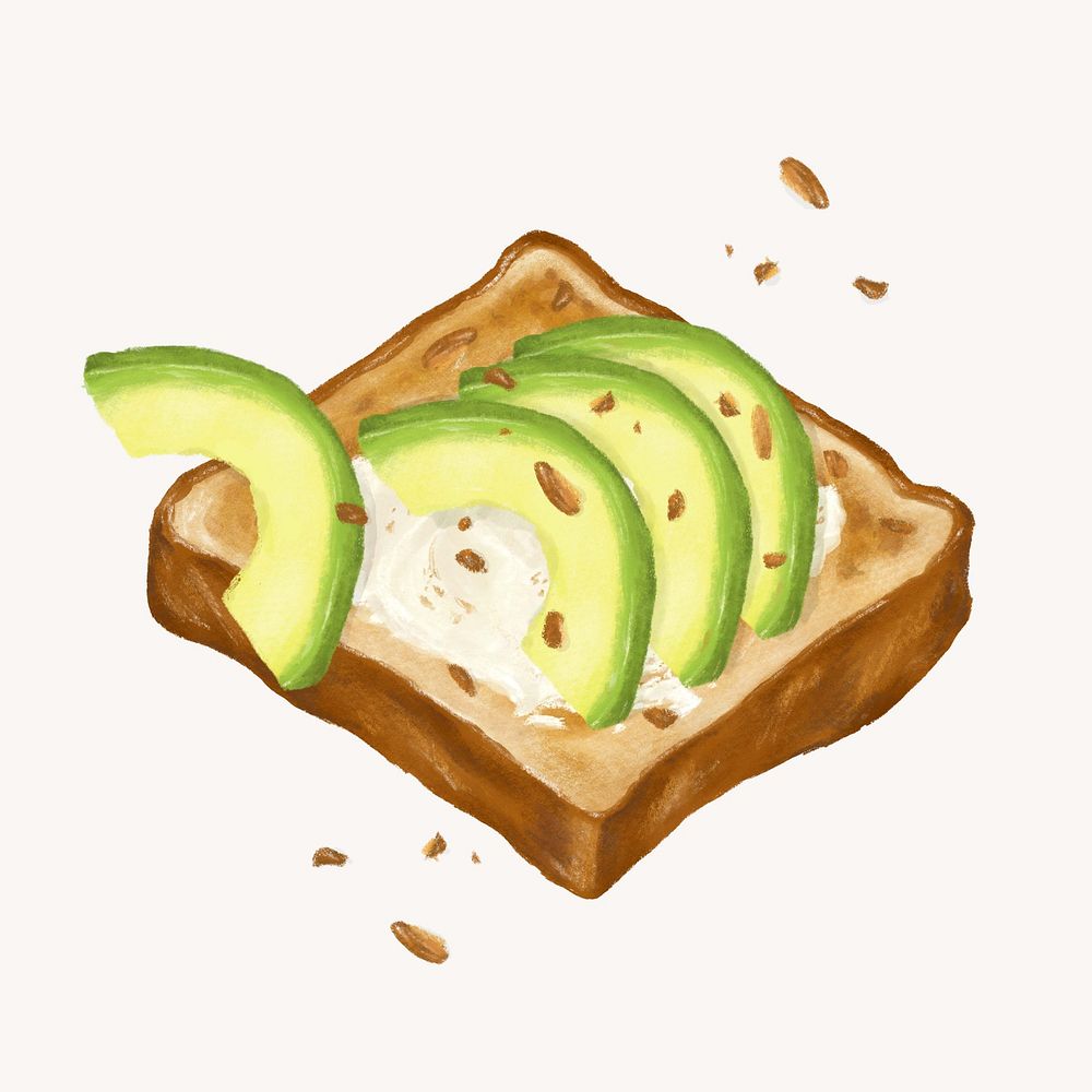 Avocado toast, breakfast food illustration