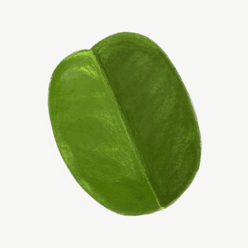 Kaffir lime leaf, vegetable collage element psd 