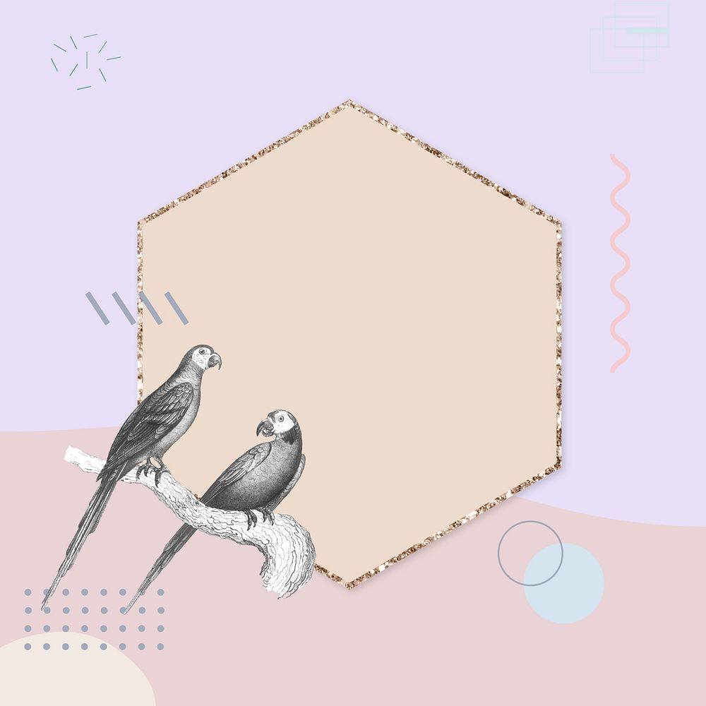 Vintage bird background, pastel hexagon frame