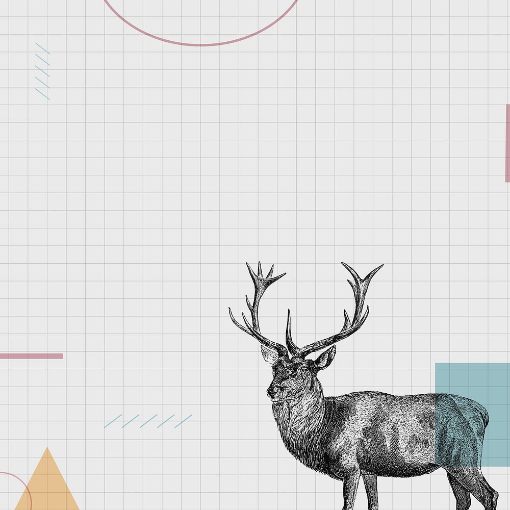 Off-white grid  background, stag deer illustration