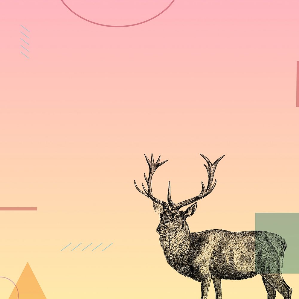Pink gradient geometric background, stag deer illustration