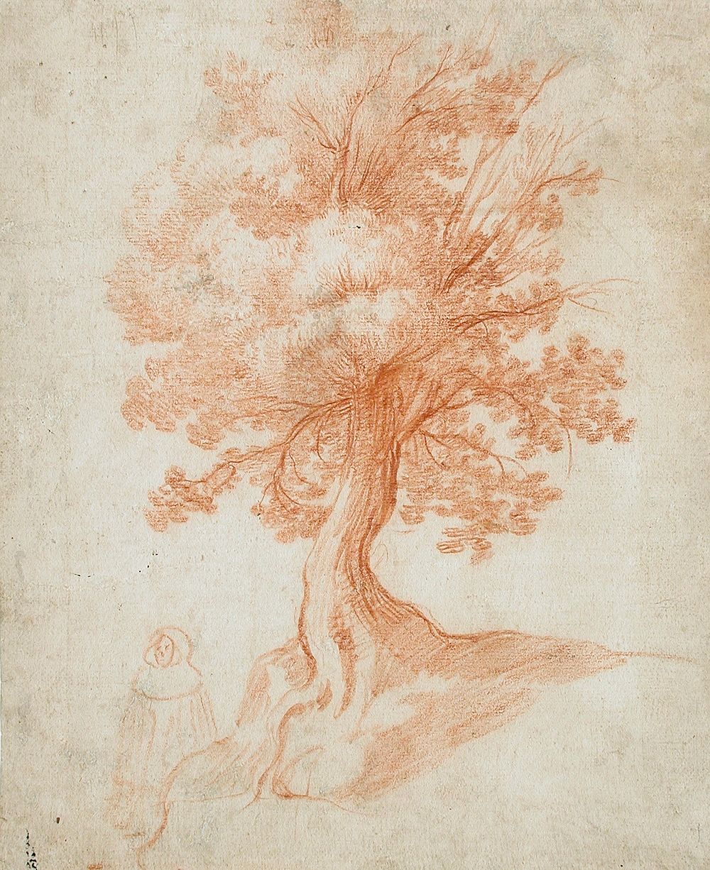 Study of a Tree by Cristofano Allori