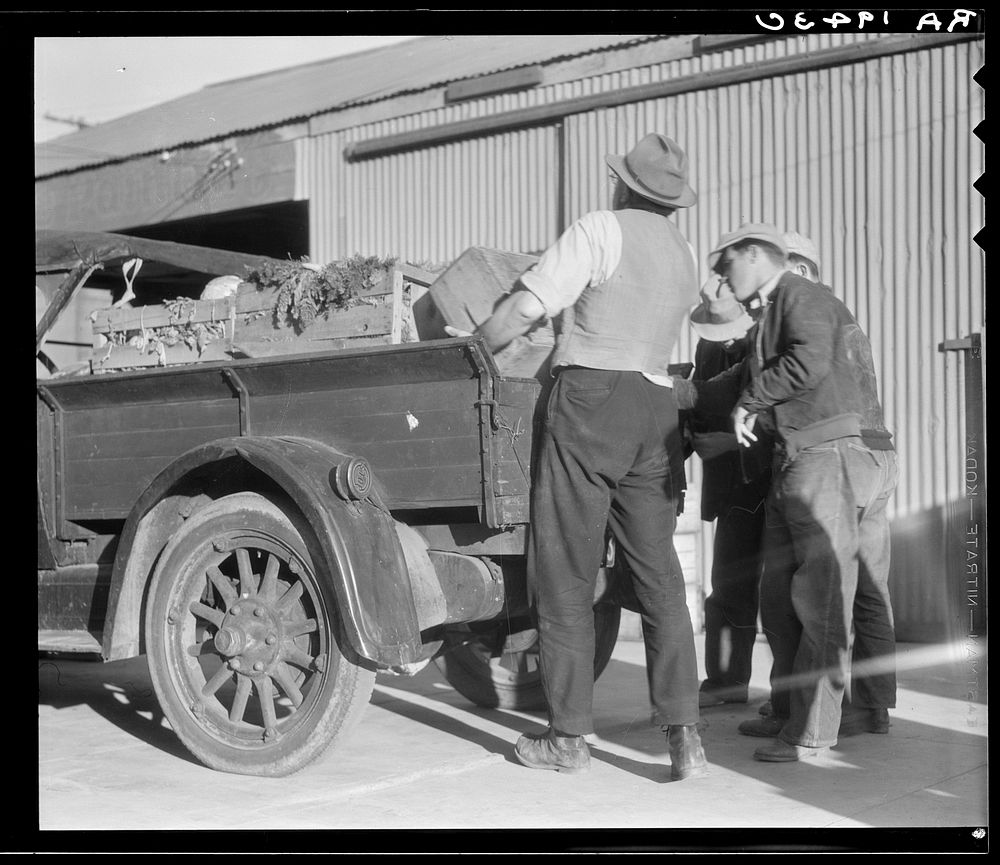 Self-help cooperative, Burbank, California. Supplies food, vegetables and milk to members. Sourced from the Library of…