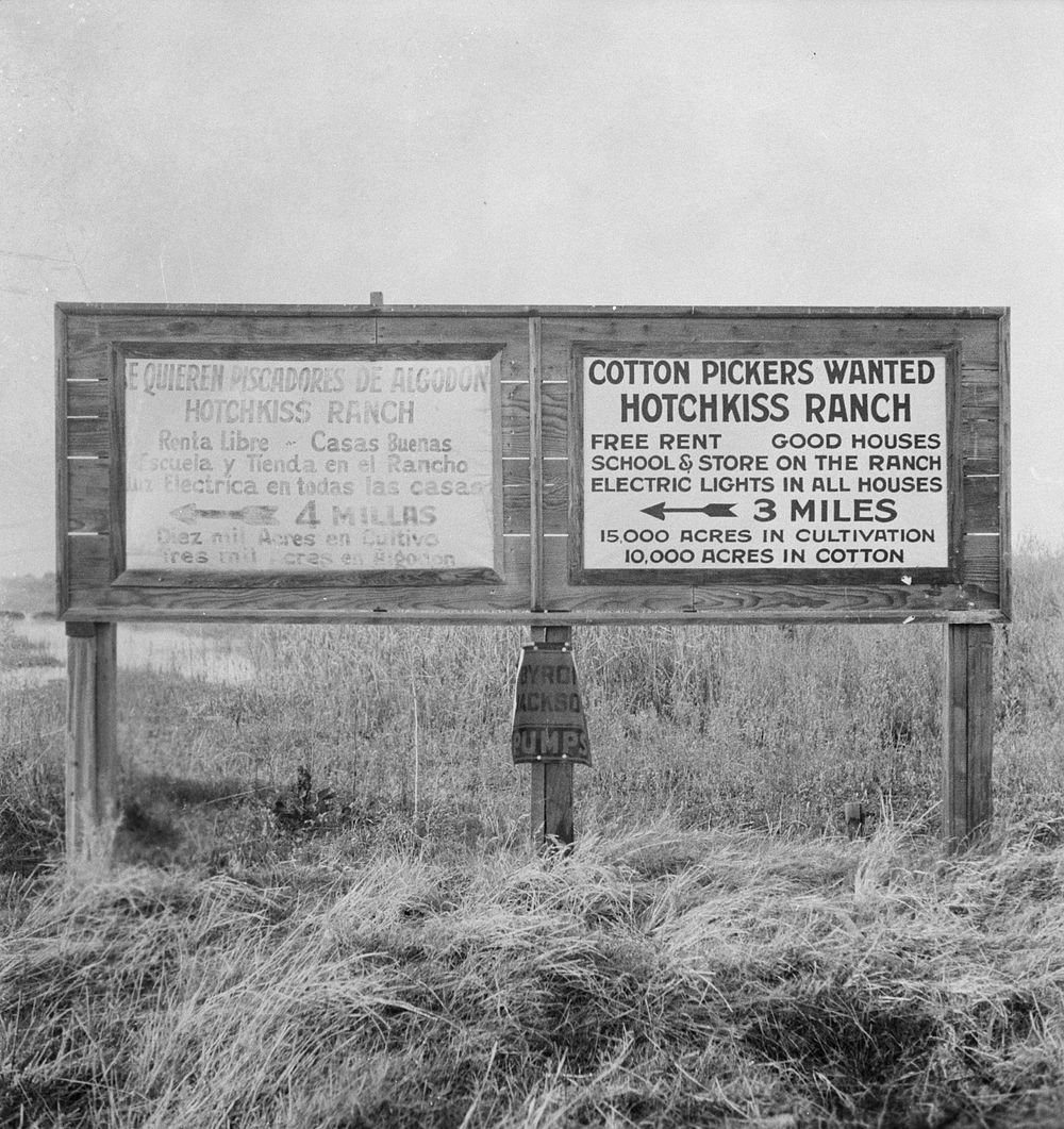Employment signs in Spanish and English. These ranches (1938) increasingly use  pickers. Near Fresno, California. Sourced…