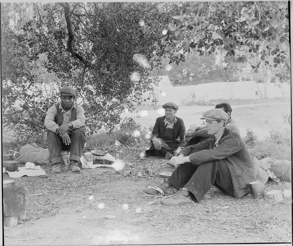 Camp of single men by the roadside. They have come in to work in the pea fields. Nipomo, California. Sourced from the…