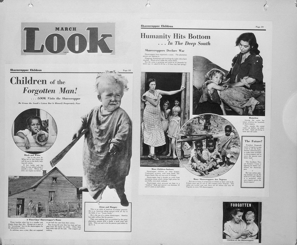 Clippings. Look magazine. Sourced from the Library of Congress.