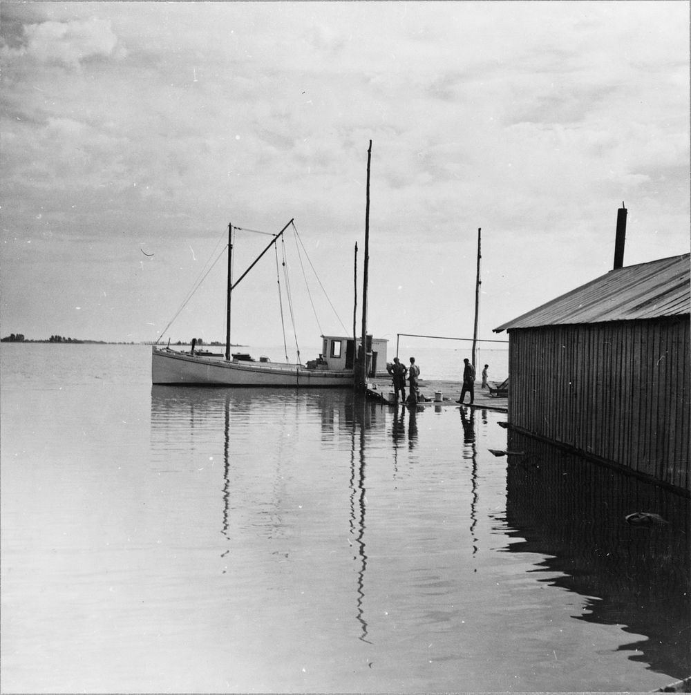 At the wharf. Rock Point, Maryland. Sourced from the Library of Congress.