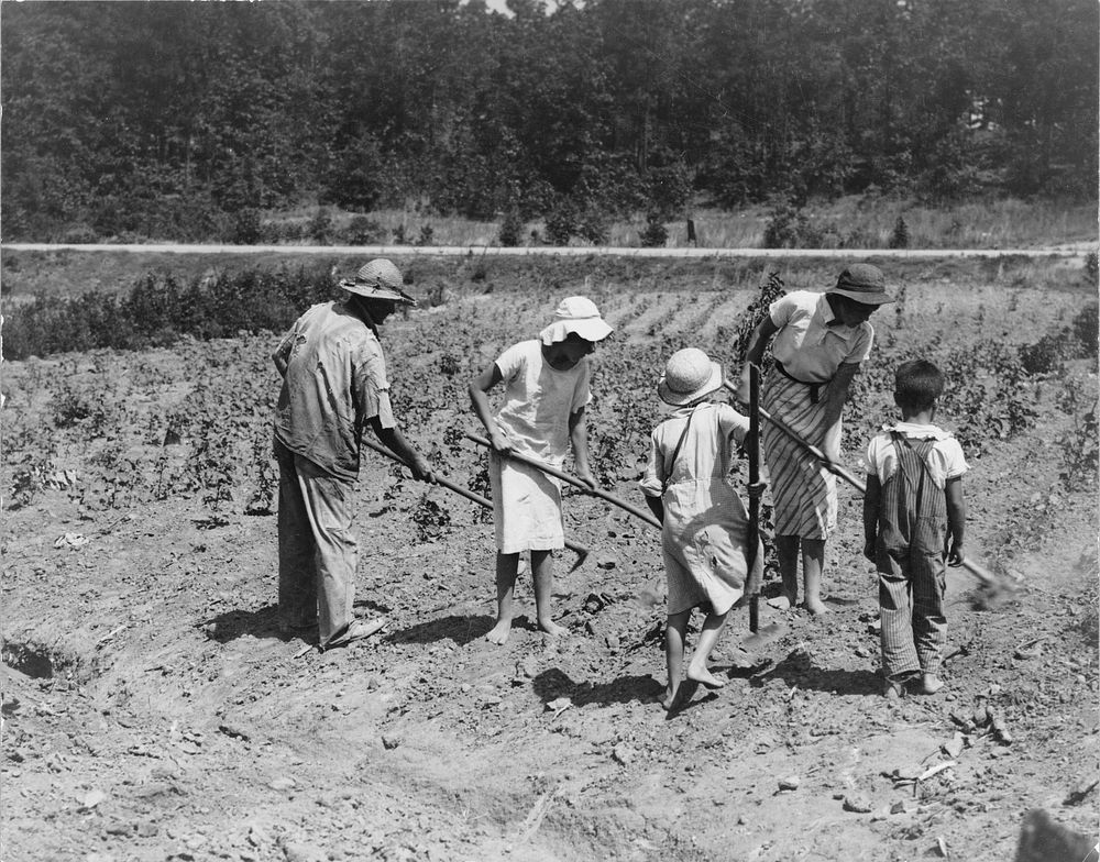 Alabama tenant farmer and children. Family labor in cotton. Near Anniston, Alabama. Sourced from the Library of Congress.