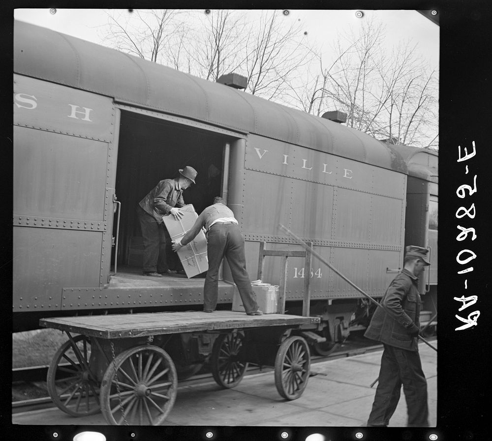 Unloading express from train. Mount Vernon, Indiana by Russell Lee