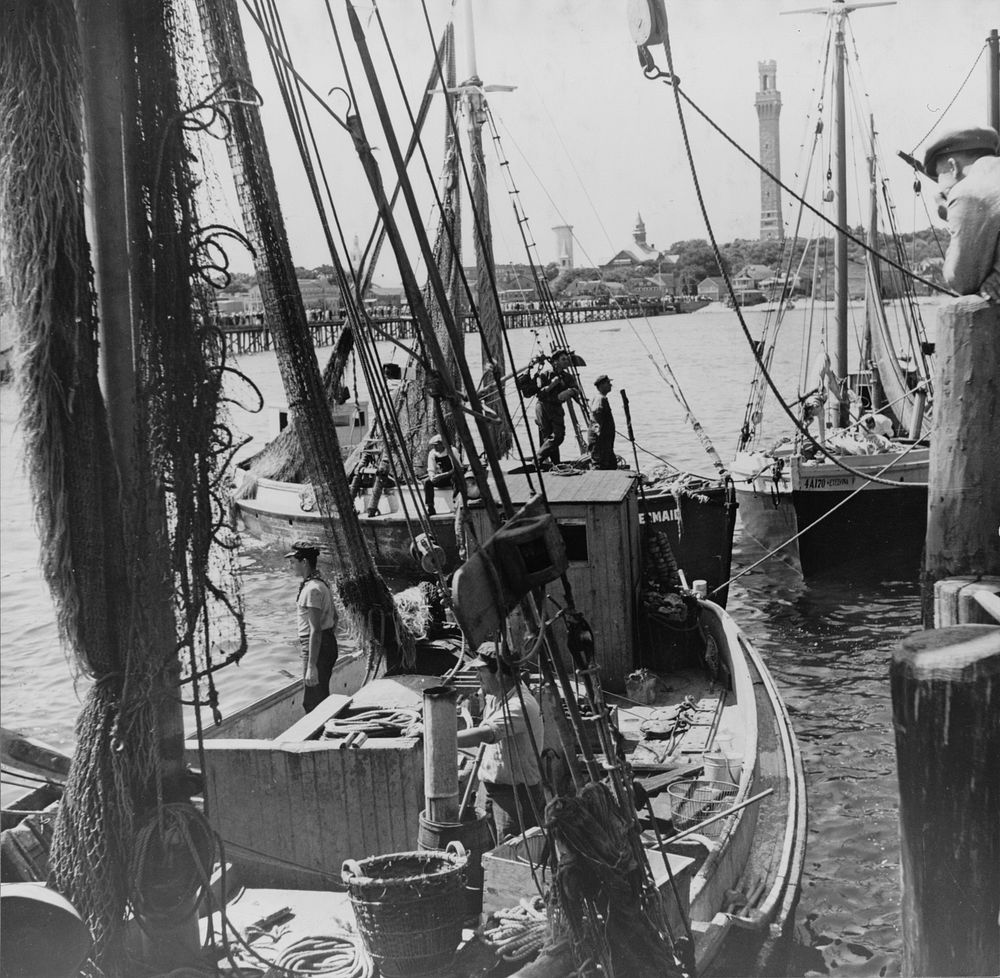 Trawlers, locally called draggers, in Provincetown Harbor. Note nets hung up to dry. Massachusetts. Sourced from the Library…