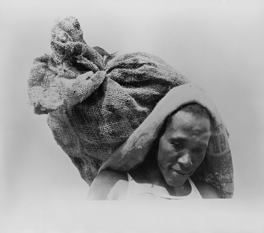 Stevedore with sack of oysters. Olga, Louisiana by Russell Lee