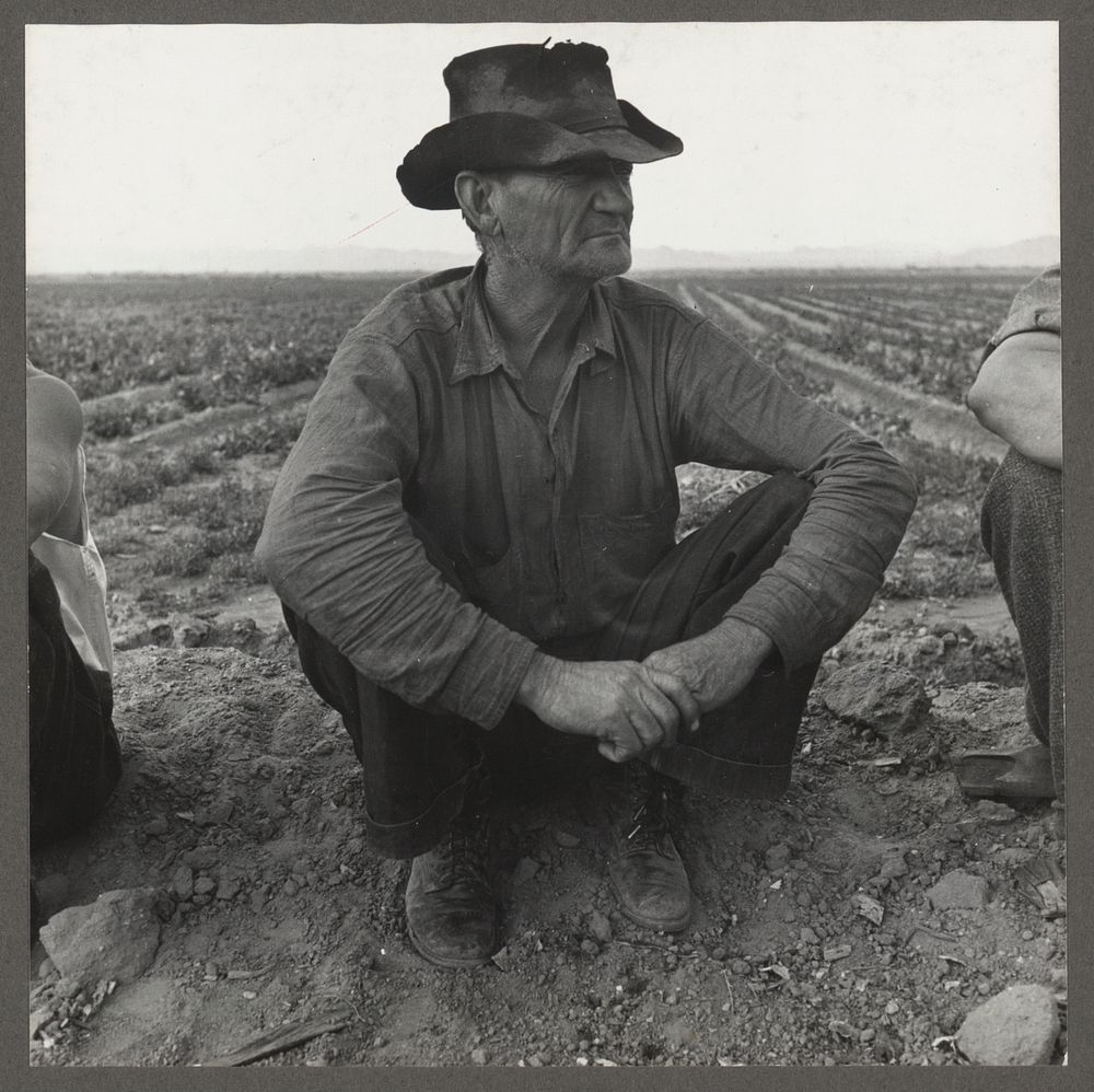 Migrant agricultural worker. Near Holtville, California. Sourced from the Library of Congress.