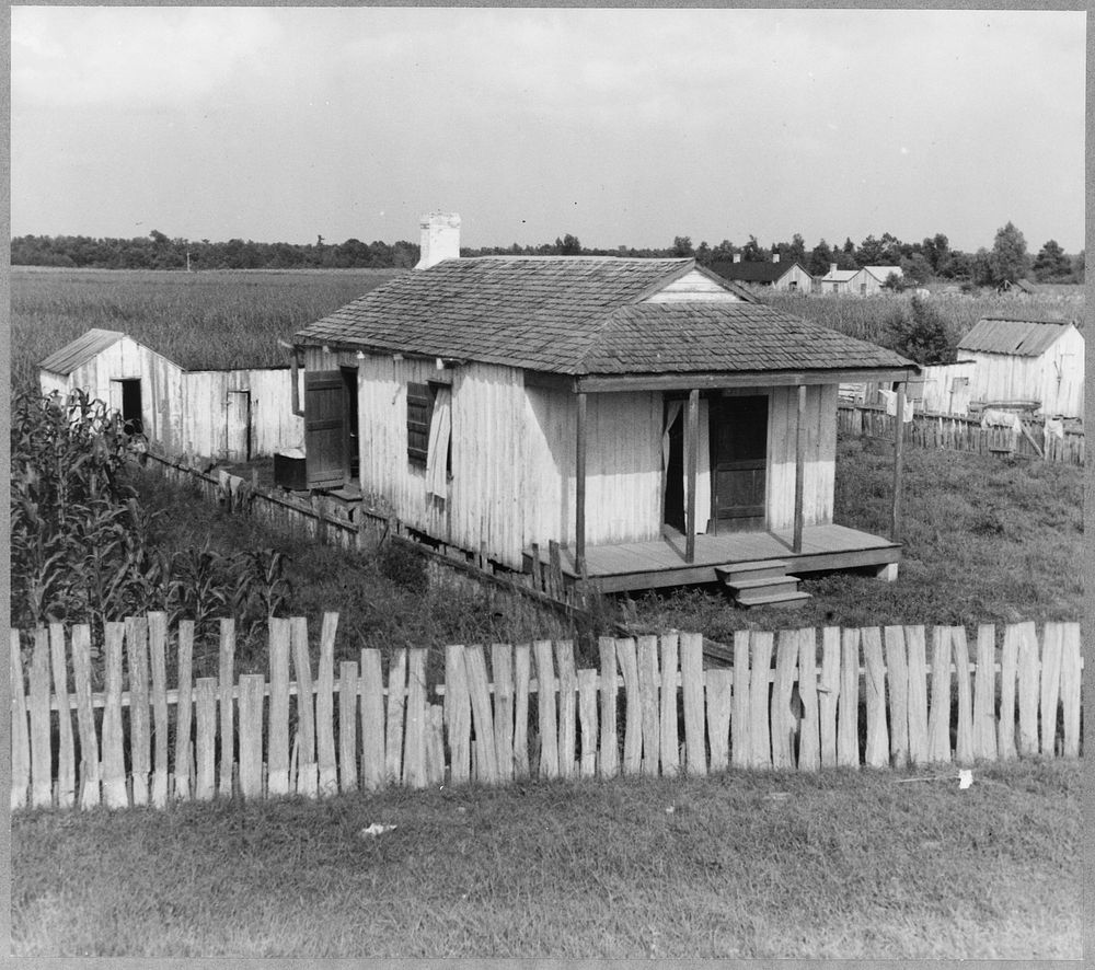 Cabin of sugarcane worker. Bayou La Fourche, Louisiana. Sourced from the Library of Congress.