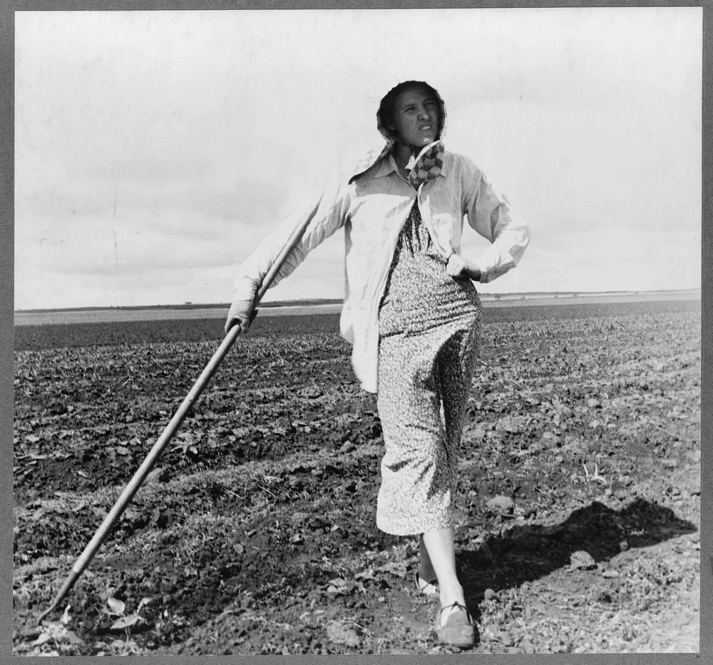 Wife of Texas tenant farmer by Dorothea Lange