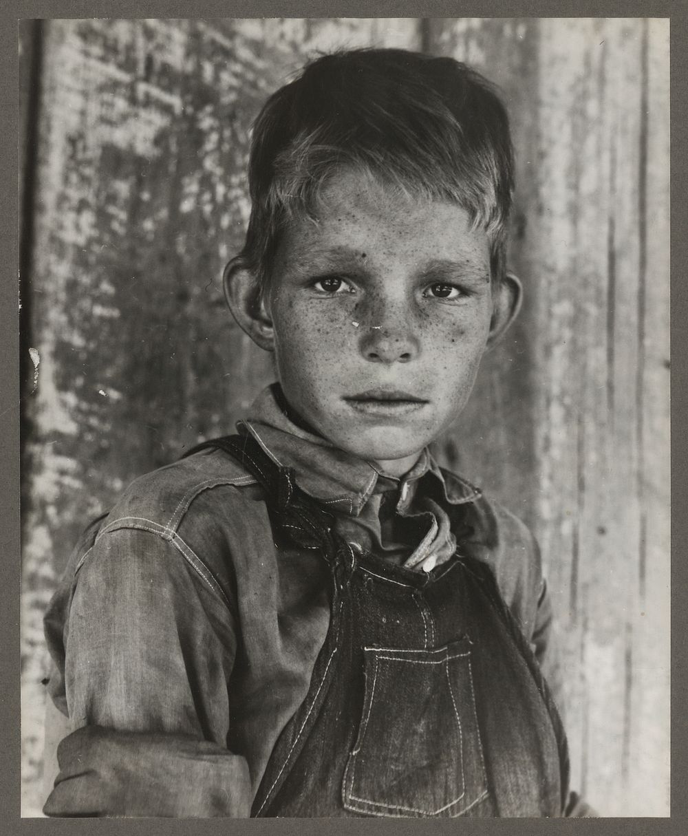 Twelve year old son of a cotton sharecropper near Cleveland, Mississippi. Sourced from the Library of Congress.