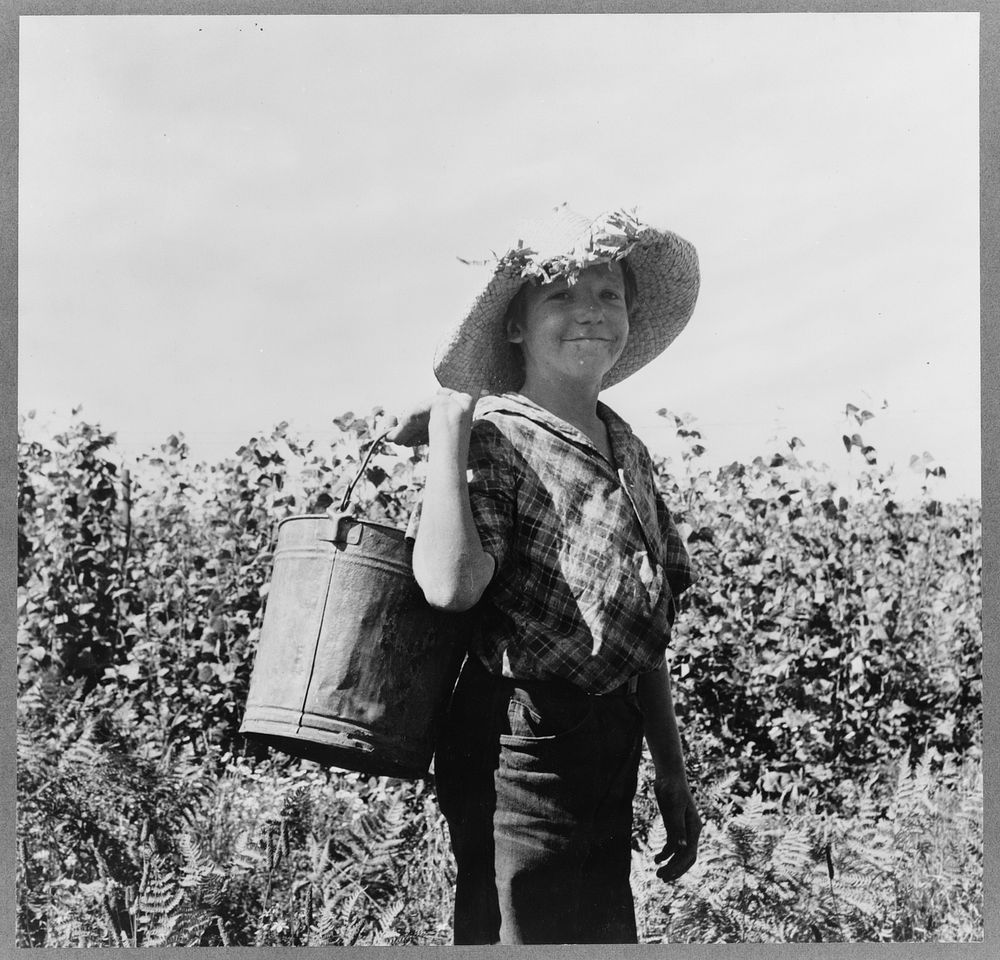 Oregon, Marion county, near West Stayton. Many children work in the bean harvest, as in the Oregon hop harvest. See "Pick…