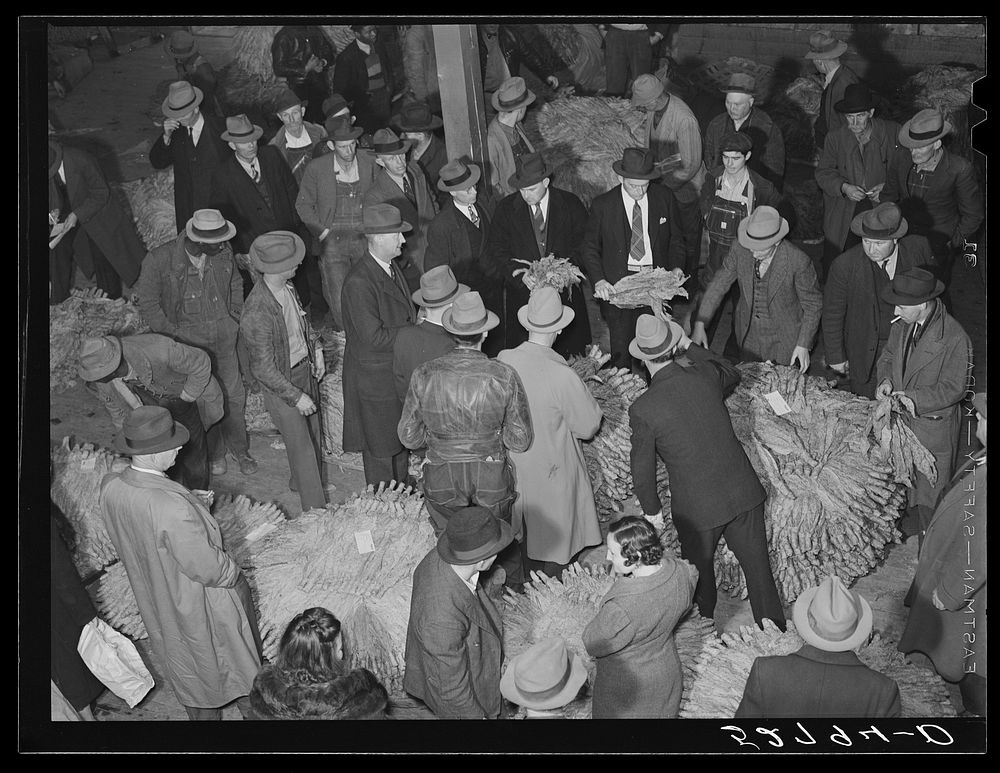 Auctioneer, buyers, and farmers during tobacco auction sale. Warehouse, Durham, North Carolina. Sourced from the Library of…