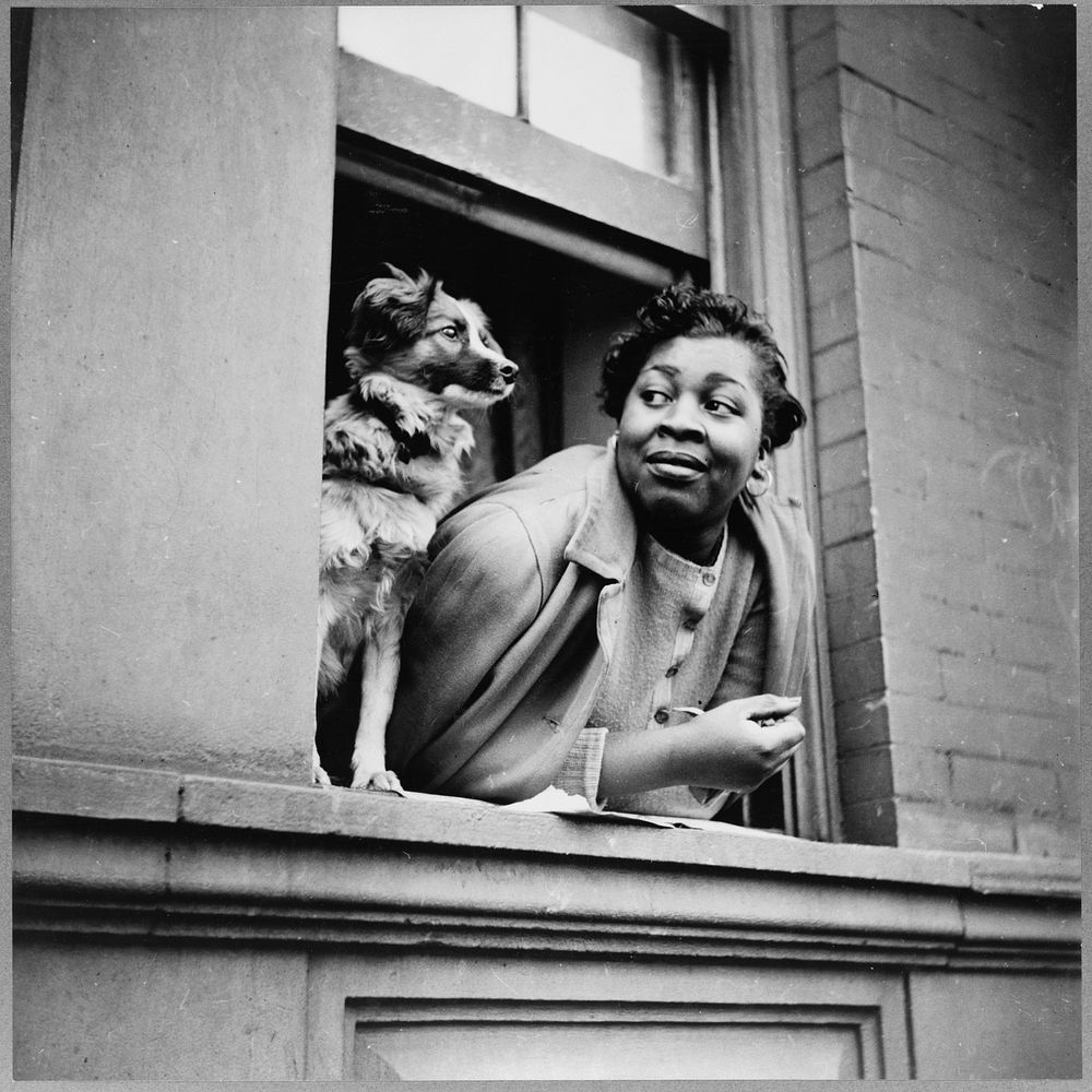 New York, New York. A woman and her dog in the Harlem section. Sourced from the Library of Congress.
