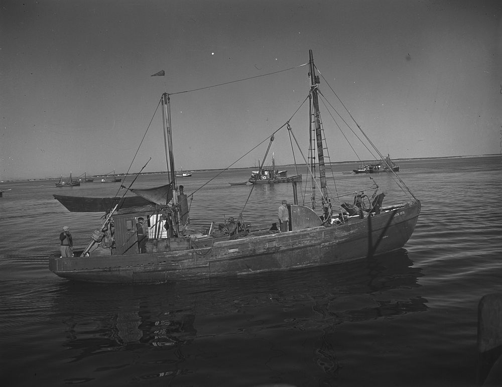 Provincetown, Massachusetts. Drag trawler in Provincetown harbor. Sourced from the Library of Congress.