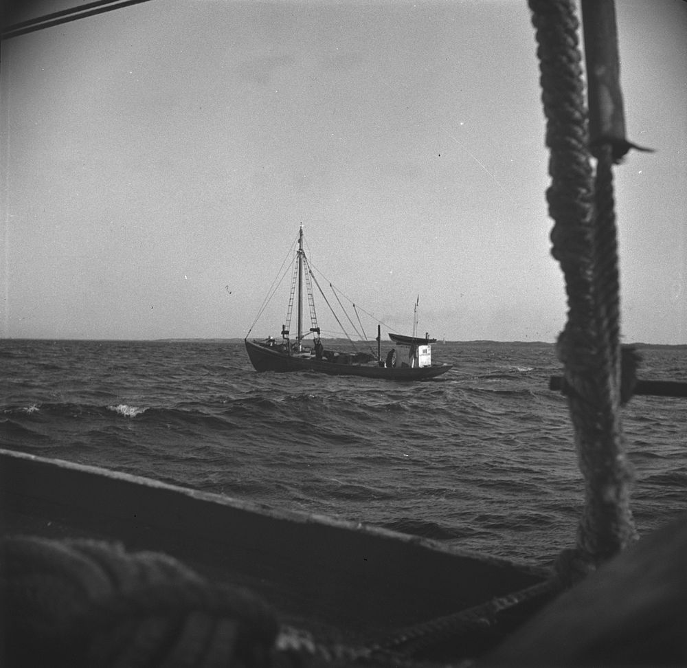 Provincetown, Massachusetts. Aboard the Francis and Marion, a Portuguese drag trawler, fishing off Cape Cod. Sourced from…