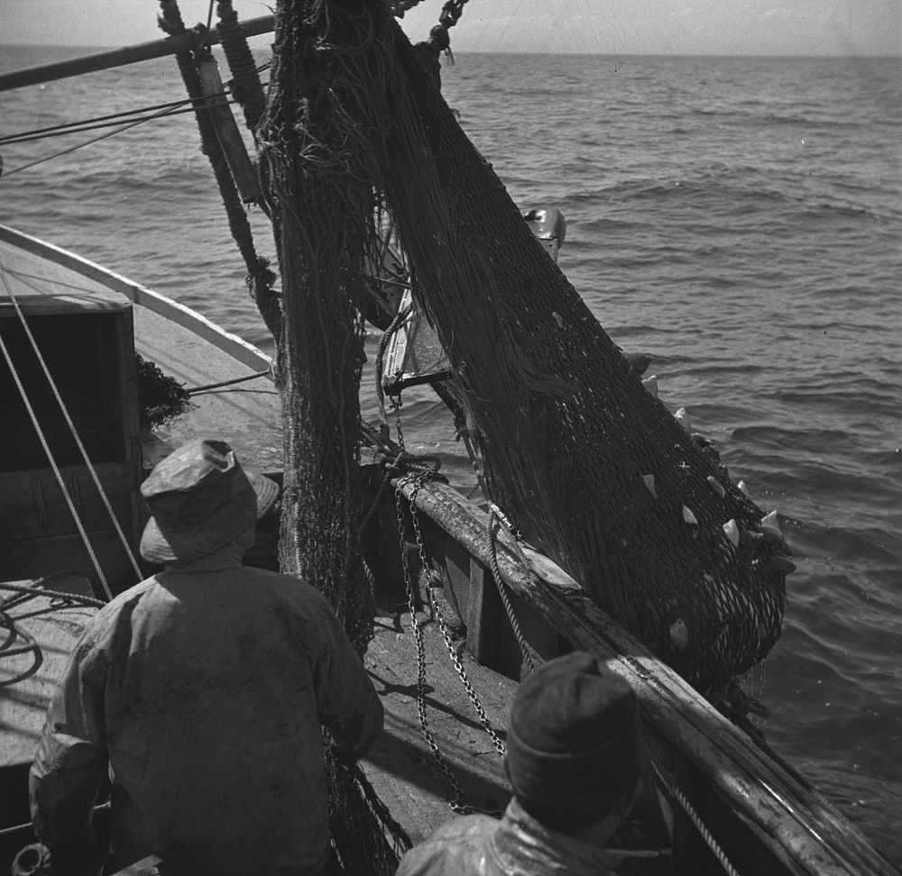 Provincetown, Massachusetts. Aboard the Frances and Marion, a Portuguese drag trawler, fishing off Cape Cod. The trawl…