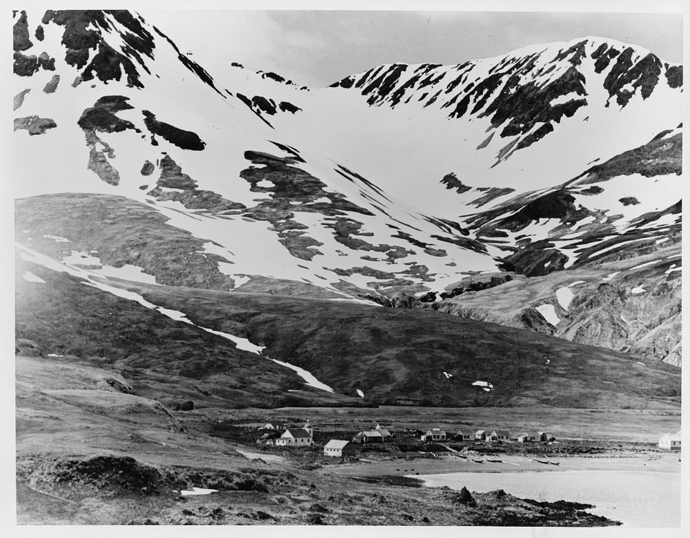 Bleak, mountainous Attu had a population of only about forty people prior to the Japanese invasion. As yet there has been no…