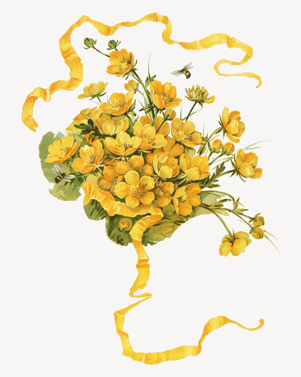 Buttercups, vintage flower illustration by L. Prang & Co.. Remixed by rawpixel.