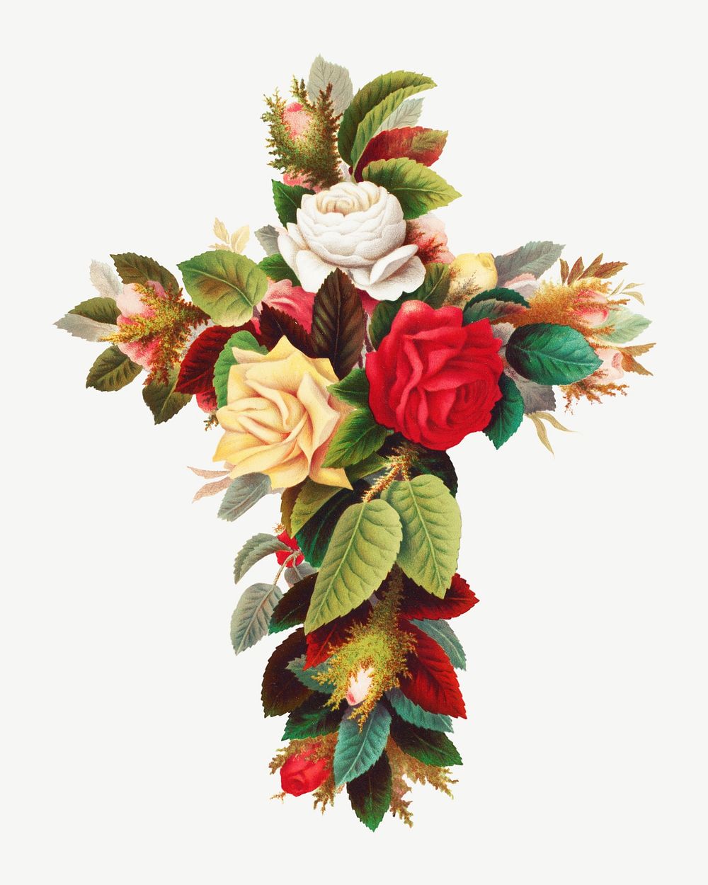 Cross of roses, vintage flower illustration by Olive E. Whitney psd. Remixed by rawpixel.