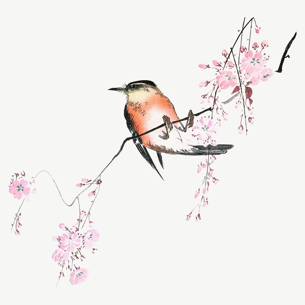 Ohara Shoson's Bird on Weeping Cherry, vintage bird illustration psd. Remixed by rawpixel.