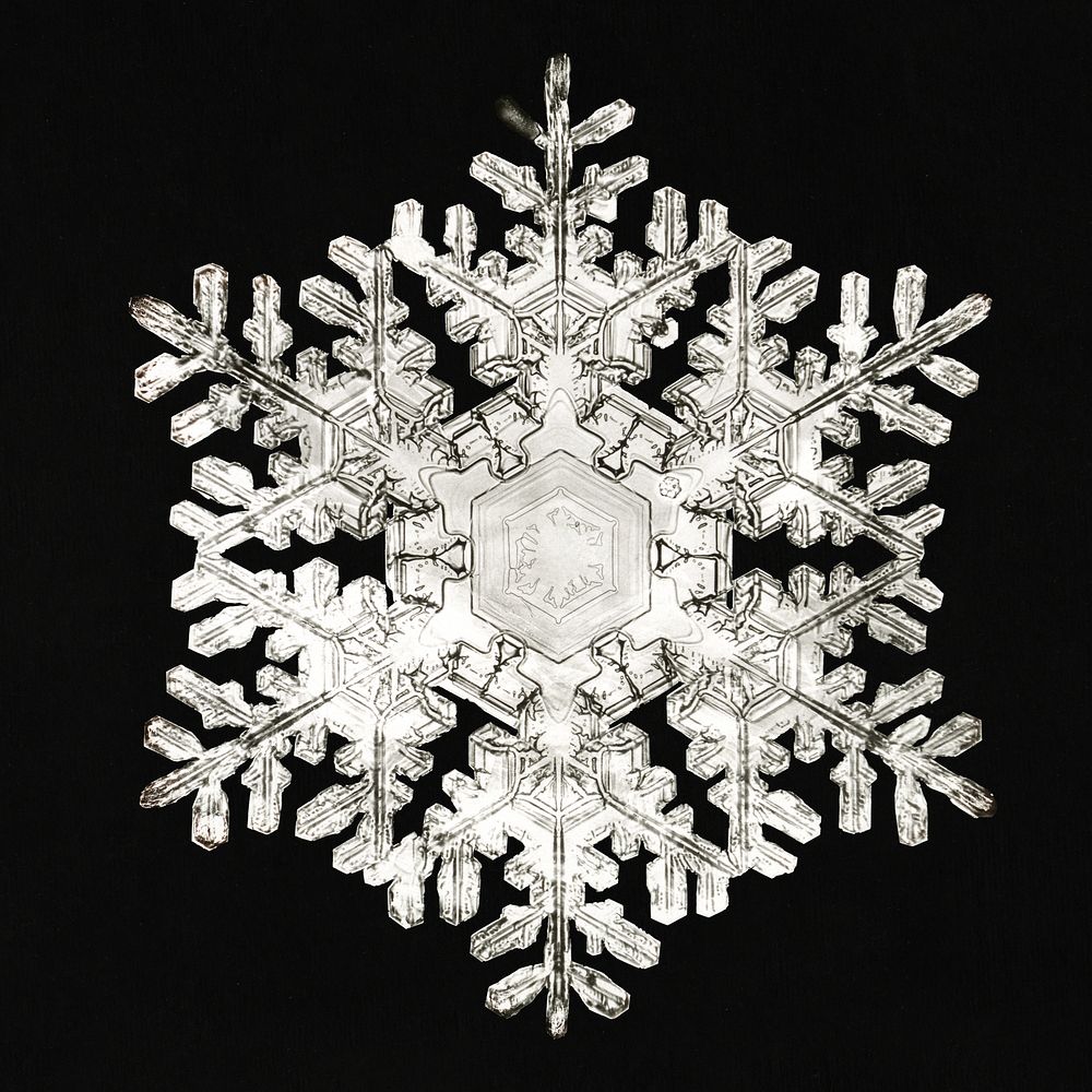 Photomicrograph of Stellar Snowflake No. 586 (1890), vintage photo by Wilson Alwyn Bentley. Original public domain image…
