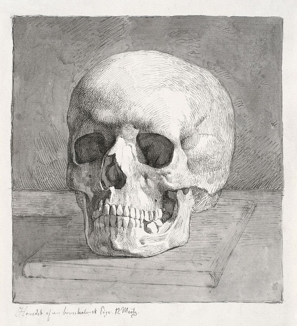 Skull, front view (1839), vintage illustration by Johan Thomas Lundbye. Original public domain image from The Statens Museum…