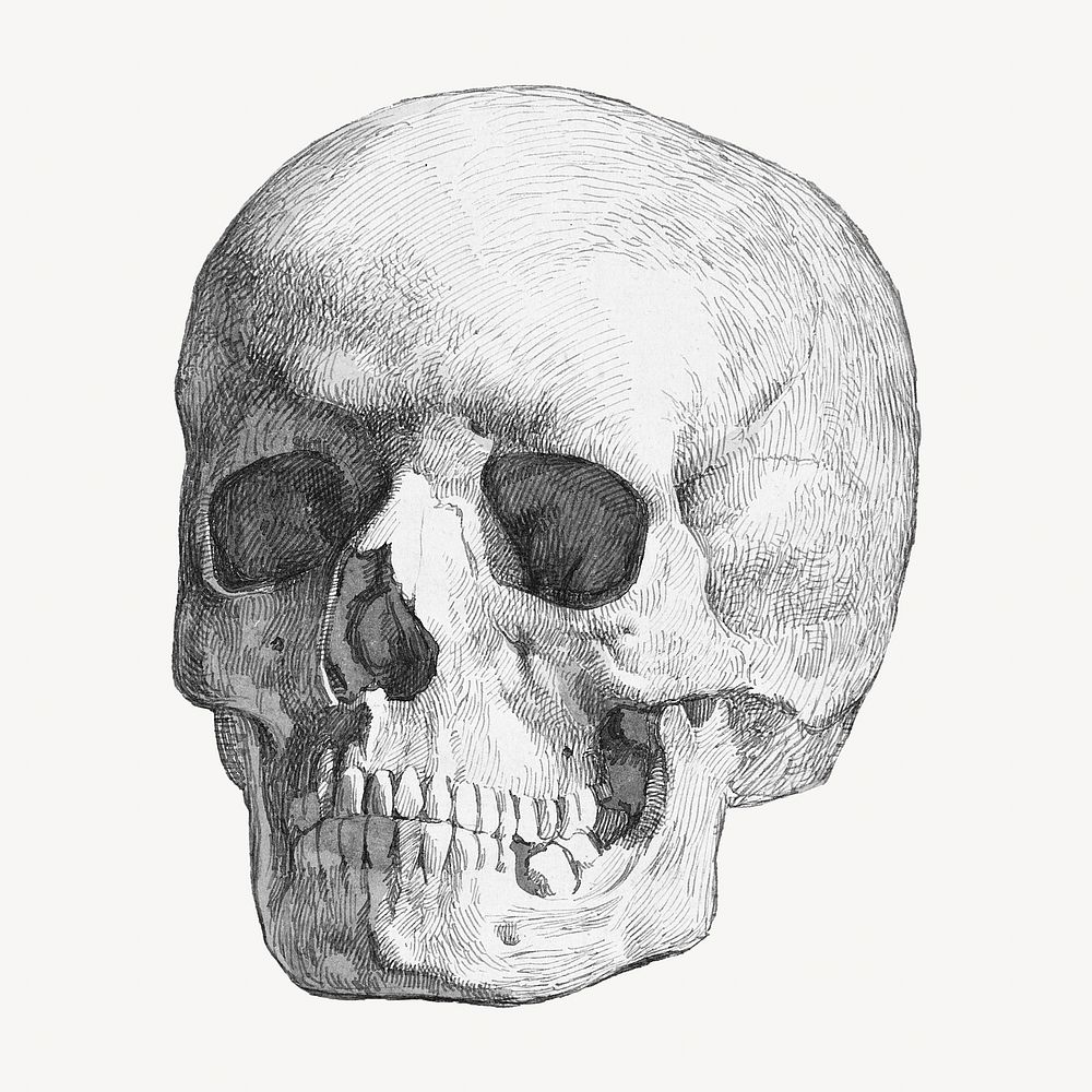 Skull, vintage illustration by Johan Thomas Lundbye. Remixed by rawpixel.