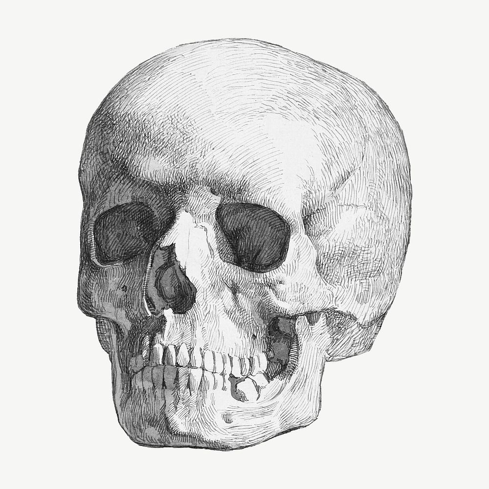 Skull, vintage illustration by Johan Thomas Lundbye psd. Remixed by rawpixel.