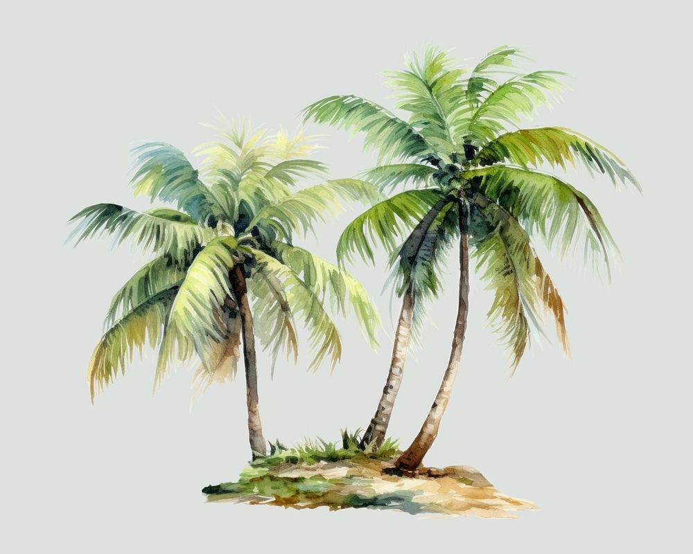 Tree outdoors coconut nature. AI generated Image by rawpixel.