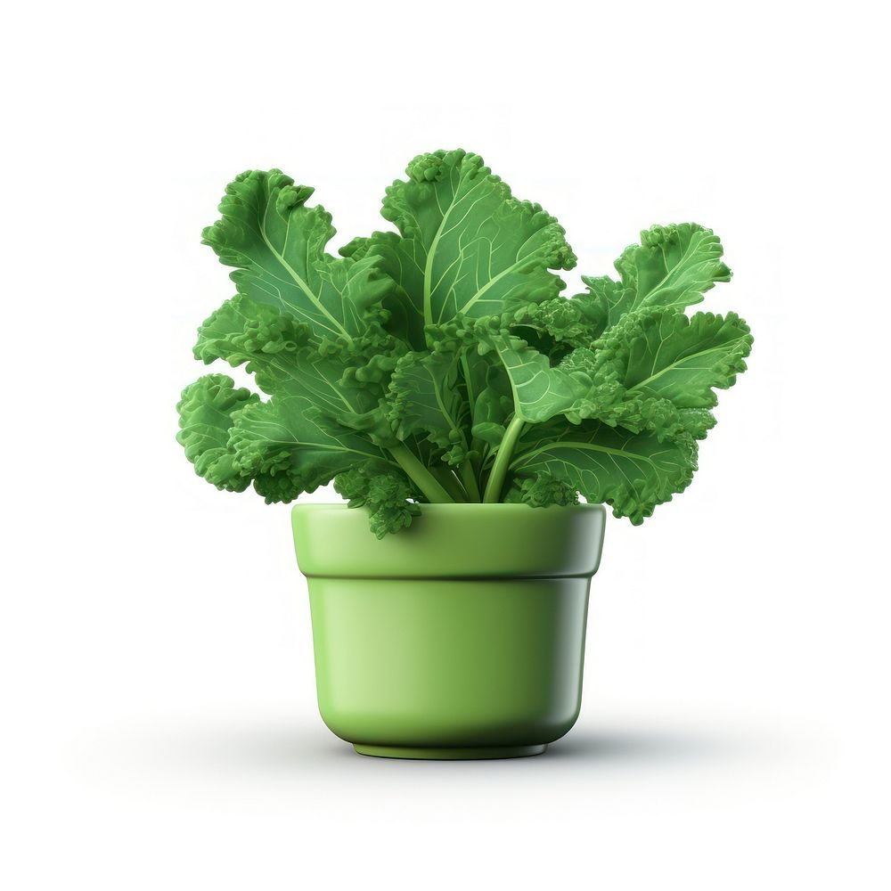 Kale vegetable plant leaf. AI generated Image by rawpixel.