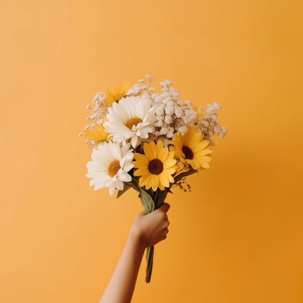 Flower daisy sunflower holding. AI generated Image by rawpixel.