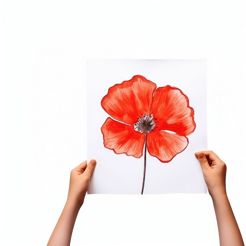 Poppy flower petal plant. AI generated Image by rawpixel.