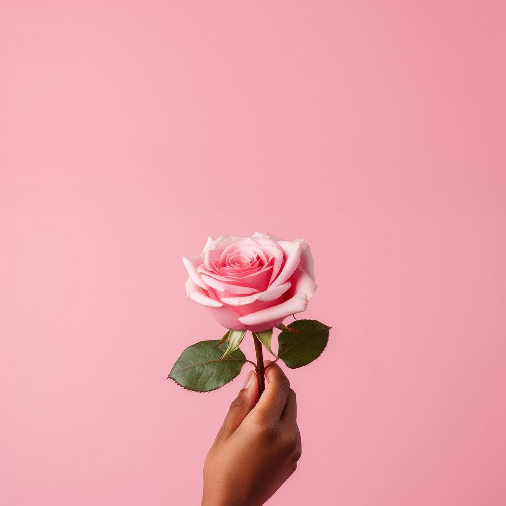 Love rose holding flower. AI generated Image by rawpixel.